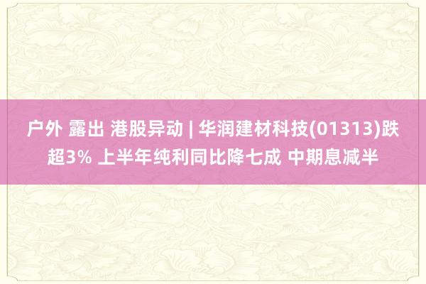 户外 露出 港股异动 | 华润建材科技(01313)跌超3% 上半年纯利同比降七成 中期息减半