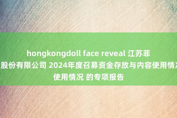 hongkongdoll face reveal 江苏菲沃泰纳米科技股份有限公司 2024年度召募资金存放与内容使用情况 的专项报告