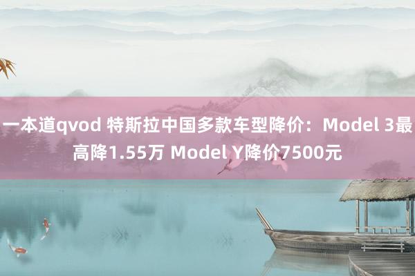 一本道qvod 特斯拉中国多款车型降价：Model 3最高降1.55万 Model Y降价7500元