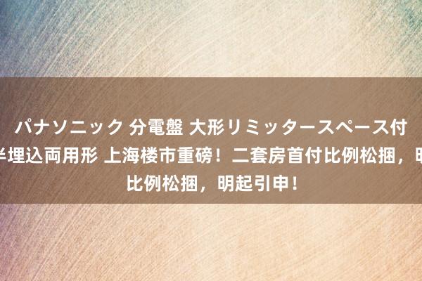 パナソニック 分電盤 大形リミッタースペース付 露出・半埋込両用形 上海楼市重磅！二套房首付比例松捆，明起引申！