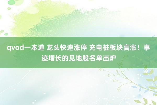 qvod一本道 龙头快速涨停 充电桩板块高涨！事迹增长的见地股名单出炉