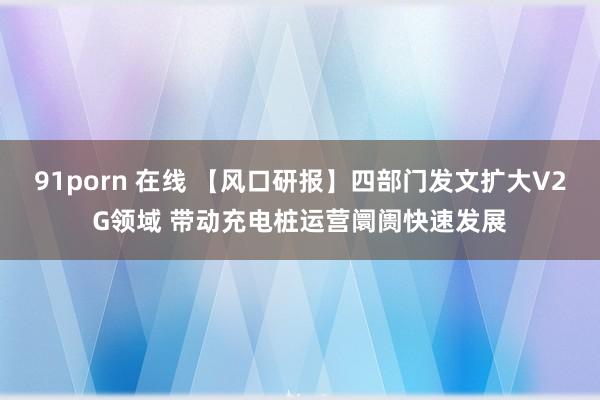 91porn 在线 【风口研报】四部门发文扩大V2G领域 带动充电桩运营阛阓快速发展
