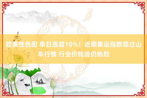欧美性色图 单日涨超10%！近期集运指数现过山车行情 行业价钱战仍热烈