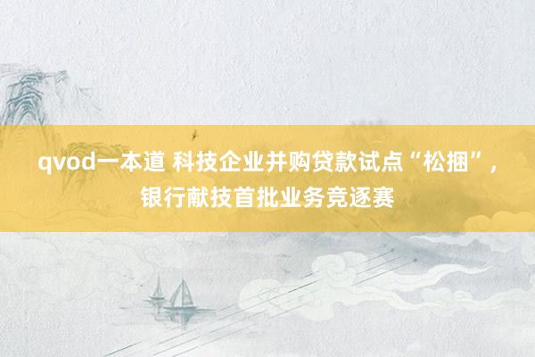 qvod一本道 科技企业并购贷款试点“松捆”，银行献技首批业务竞逐赛