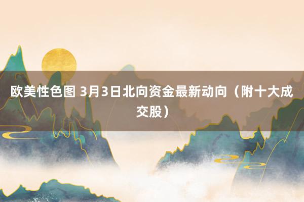 欧美性色图 3月3日北向资金最新动向（附十大成交股）