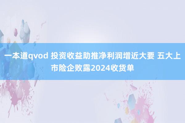 一本道qvod 投资收益助推净利润增近大要 五大上市险企败露2024收货单